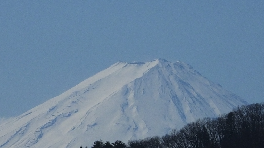 日本の風景 秩父多摩甲斐国立公園 富士 山 花 山梨県
