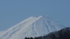 日本の風景 秩父多摩甲斐国立公園 富士 山 花 山梨県