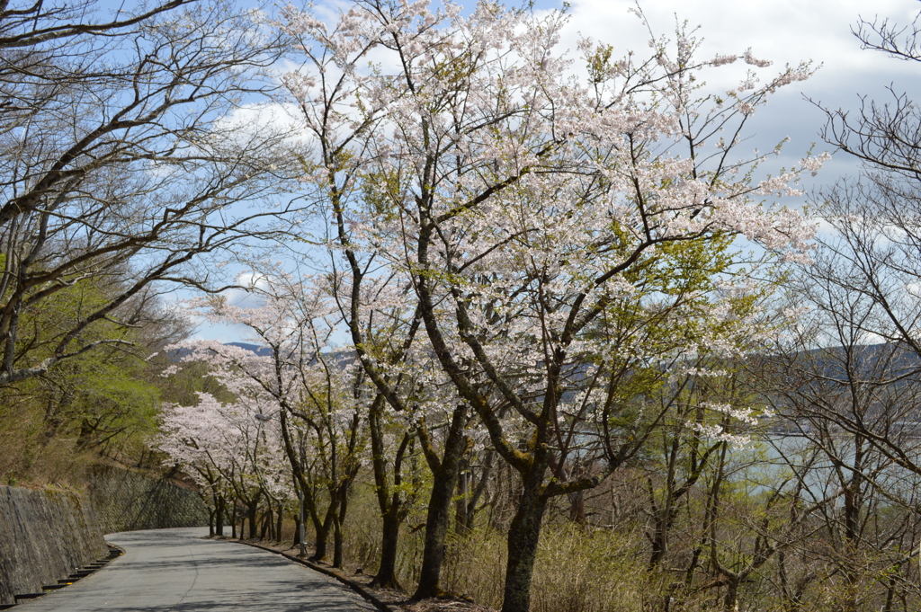 ホテルマウント富士 山梨県南都留郡山中湖村山中