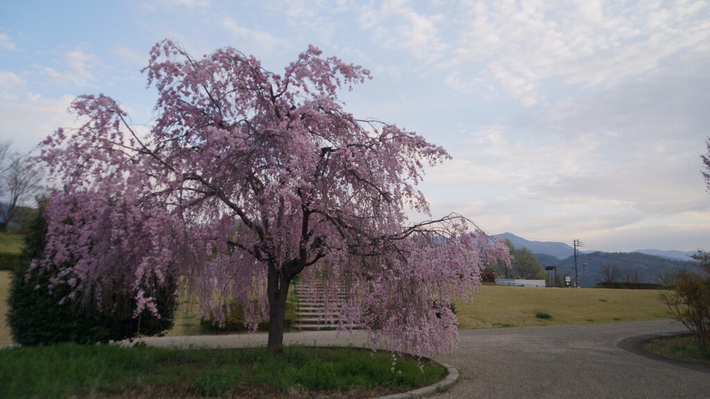 乾徳山 笛吹川フルーツ公園 山梨市 山梨県 DSC05577