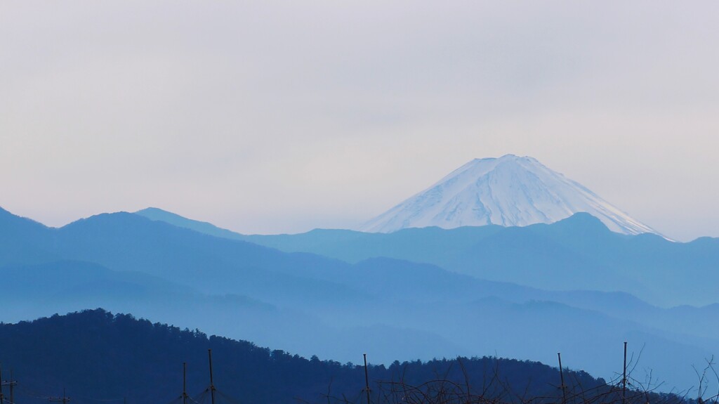 富士山 藤木 甲州市 山梨県 DSC01298