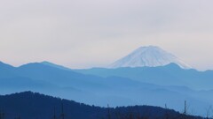 富士山 藤木 甲州市 山梨県 DSC01298