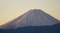 富士山 笛吹川フルーツ公園 山梨市 山梨県 DSC04765