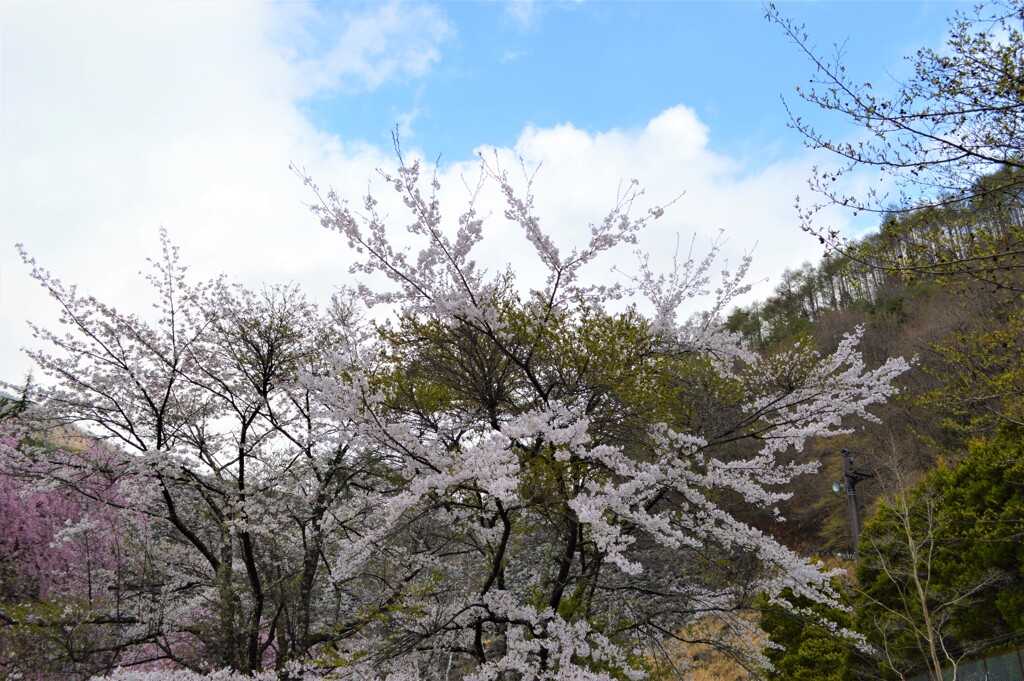 広瀬ダム 秩父多摩甲斐国立公園 山梨市 山梨県