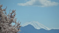 花 甲州市 山梨県 DSC_0021