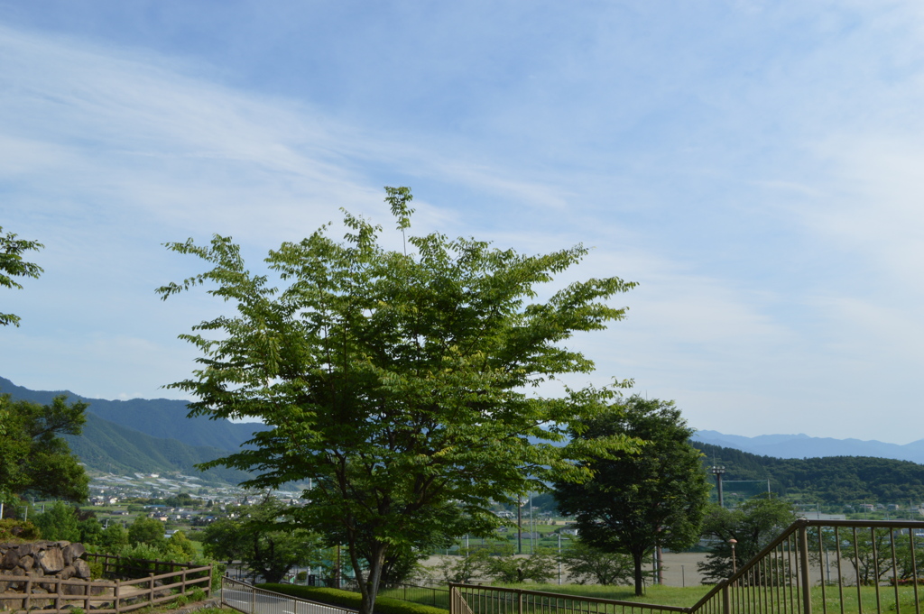 塩山ふれあいの森総合公園　甲州市 富士山展望