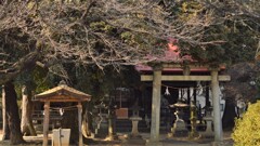 若宮八幡大神社 塩山下於曽 甲州市 山梨県 DSC_0011