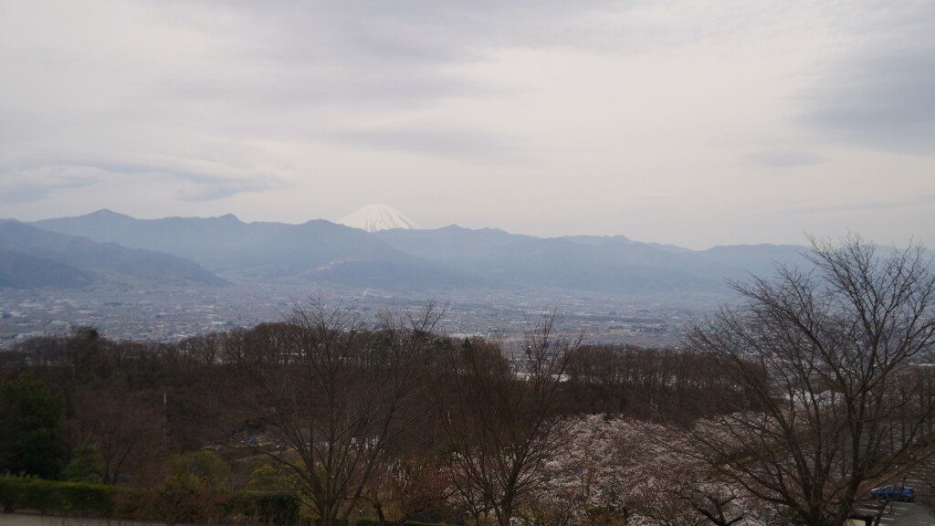  富士山 笛吹川フルーツ公園 山梨市 山梨県 DSC05473
