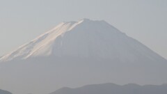 富士山 フルーツ公園 新日本三大夜景 山梨市 山梨県 DSC03940