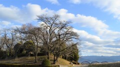差出の磯 万力公園 山梨市 山梨県 DSC_0018