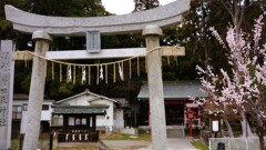 神田天神社 甲州市 塩山 山梨県 DSC08663