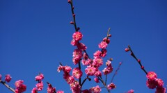 日川 山梨市 山梨県 DSC08209