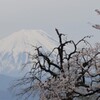 富士山 桜 甲斐市 山梨県 DSC02793 