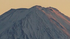 富士山 藤木 甲州市 山梨県 DSC08478