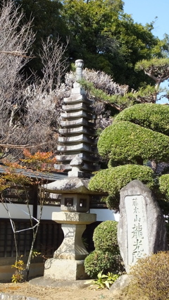 ​藤木山龍光院 甲州市 山梨県