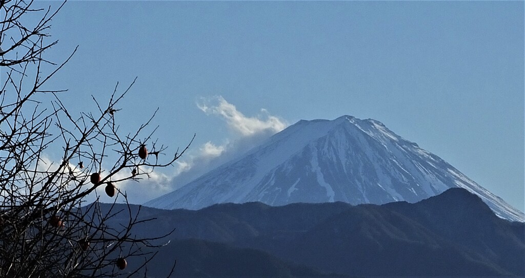 富士山 松里 フルーツライン 甲州市 山梨県 DSCF2834