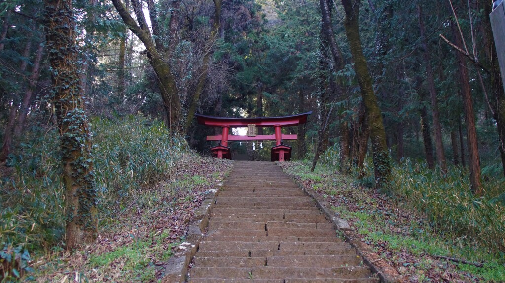 新府城跡 韮崎市 山梨県 DSC01875