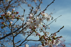 塩山藤木 甲州市 山梨県