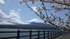 長池親水公園 山中湖 富士山 富士五湖 山梨県