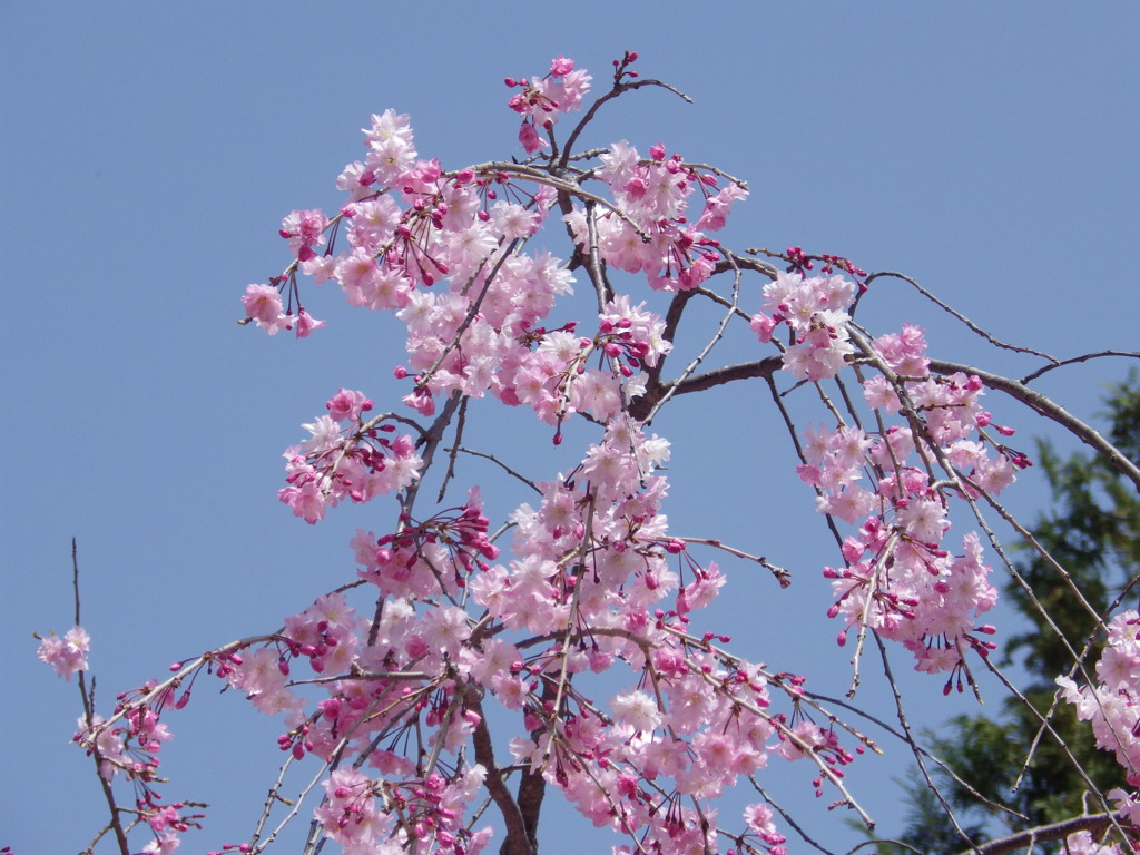 向嶽寺 甲州市　山梨県　