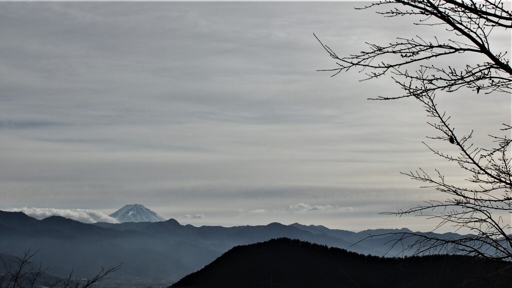 富士山 塩の山 甲州市塩山ふれあいの森総合公園 山梨県 DSC_0774