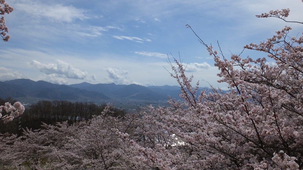 山梨県笛吹川フルーツ公園 山梨市 山梨県