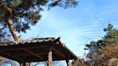 山梨岡神社 石森山 山梨市 山梨県 DSC_0747