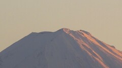 富士山 藤木 甲州市 山梨県 DSCF0895