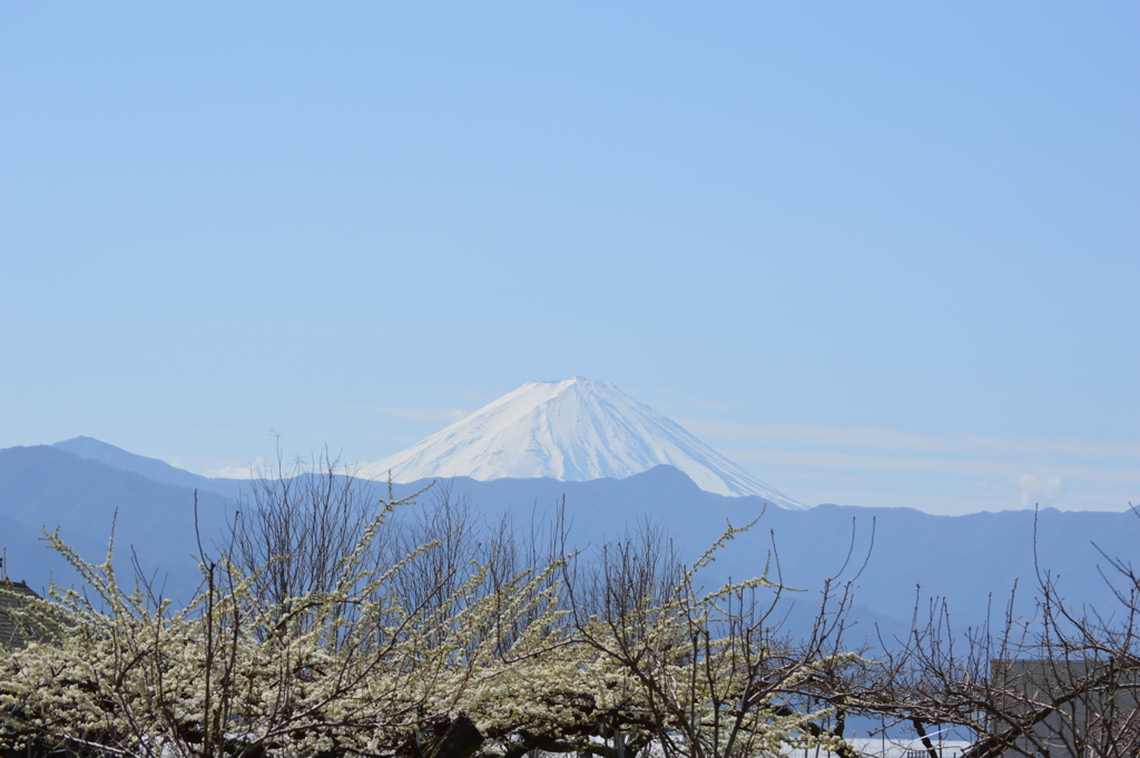 富士山 塩山藤木 甲州市 山梨県