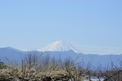 富士山 塩山藤木 甲州市 山梨県