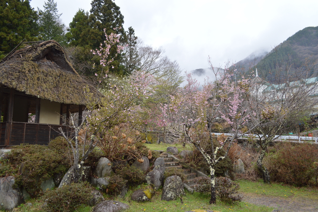 乾徳公園 秩父多摩甲斐国立公園 山梨市三富徳和 山梨県