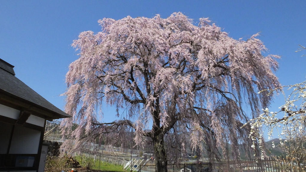 第六天魔王 牧丘町 秩父多摩甲斐国立公園 山梨市 山梨県