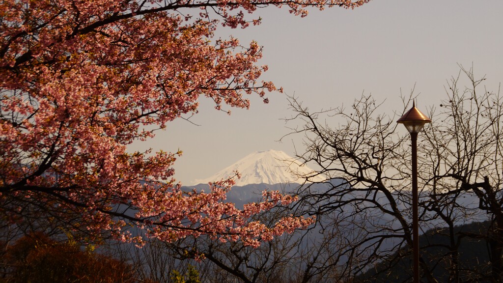 富士山 塩山ふれあいの森総合公園 甲州市 山梨県 DSC05056