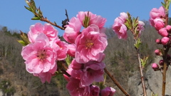 午頭島公園 韮崎市円野町 山梨県