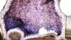 ハーブ庭園 夢日記 勝沼庭園 甲州市 山梨県 DSC06107