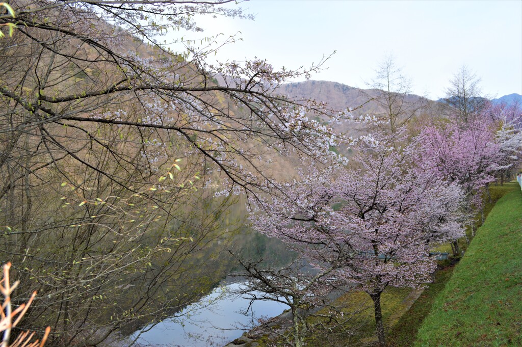 広瀬ダム 秩父多摩甲斐国立公園 山梨市 山梨県