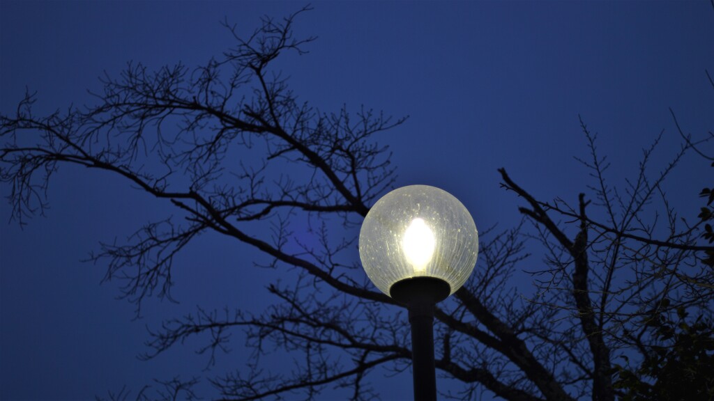 ナトリウム灯激寒の朝明け ちどり湖 万力公園 山梨市 山梨県 DSC_0006