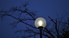 ナトリウム灯激寒の朝明け ちどり湖 万力公園 山梨市 山梨県 DSC_0006