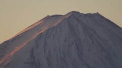 富士山 笛吹川フルーツ公園 山梨市 山梨県 DSC04755