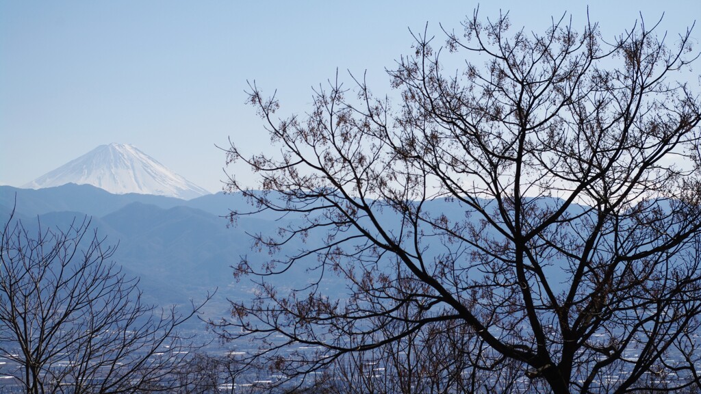 富士山 横根町 甲府市 山梨県 IMGP8105