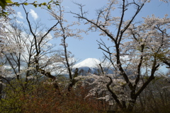 ホテルマウント富士 山梨県南都留郡山中湖村山中