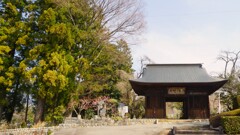 花の寺 放光寺 甲州市 塩山 藤木 山梨県 DSC08122