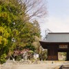 花の寺 放光寺 甲州市 塩山 藤木 山梨県 DSC08122