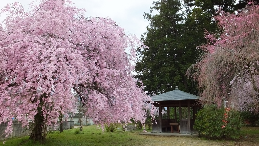 白髭神社 松里 甲州市塩山 山梨県