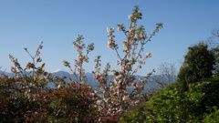 富士山 展望の社 差出磯大嶽山神社 山梨市 山梨県 DSC03003