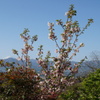 富士山 展望の社 差出磯大嶽山神社 山梨市 山梨県 DSC03003