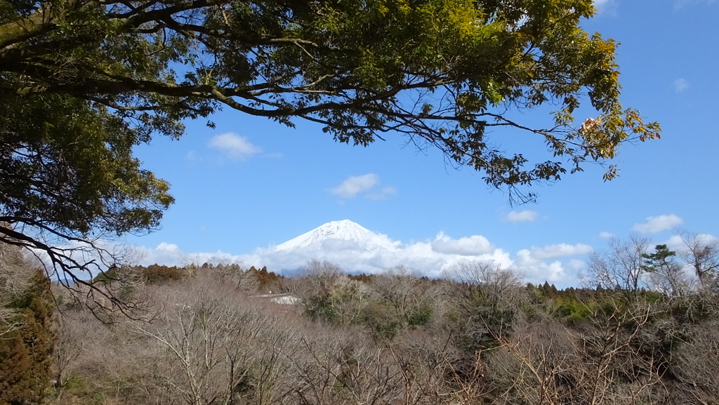 白糸の滝公園 富士宮市 静岡県