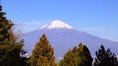 富士山 白鳥山 山梨百名山 低山568ｍ 静岡 DSC07129