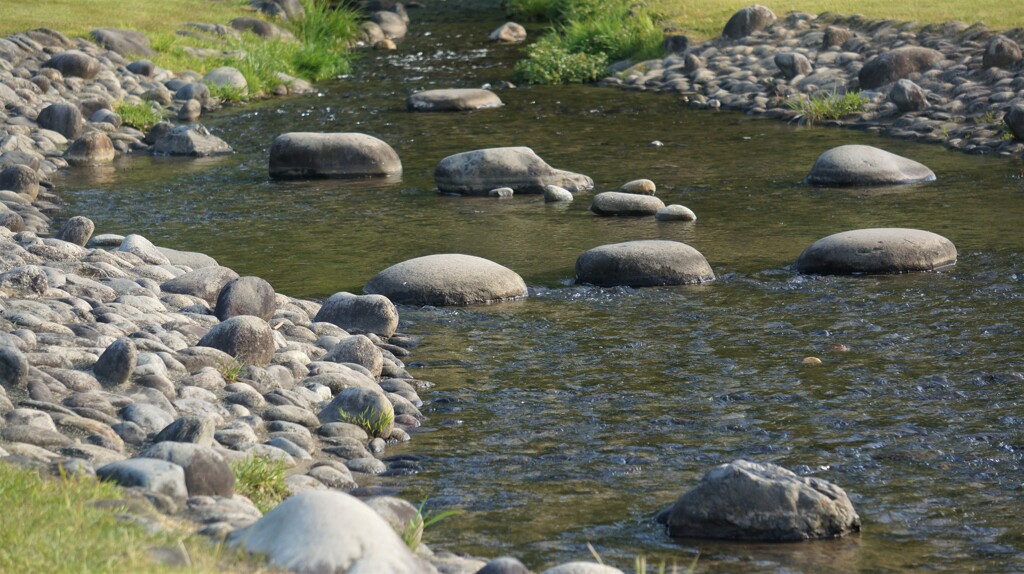 川 万力公園 山梨市 山梨県 DSC00512