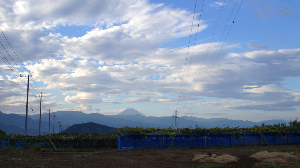 富士山 フルーツライン 甲州市 山梨県 DSC03815